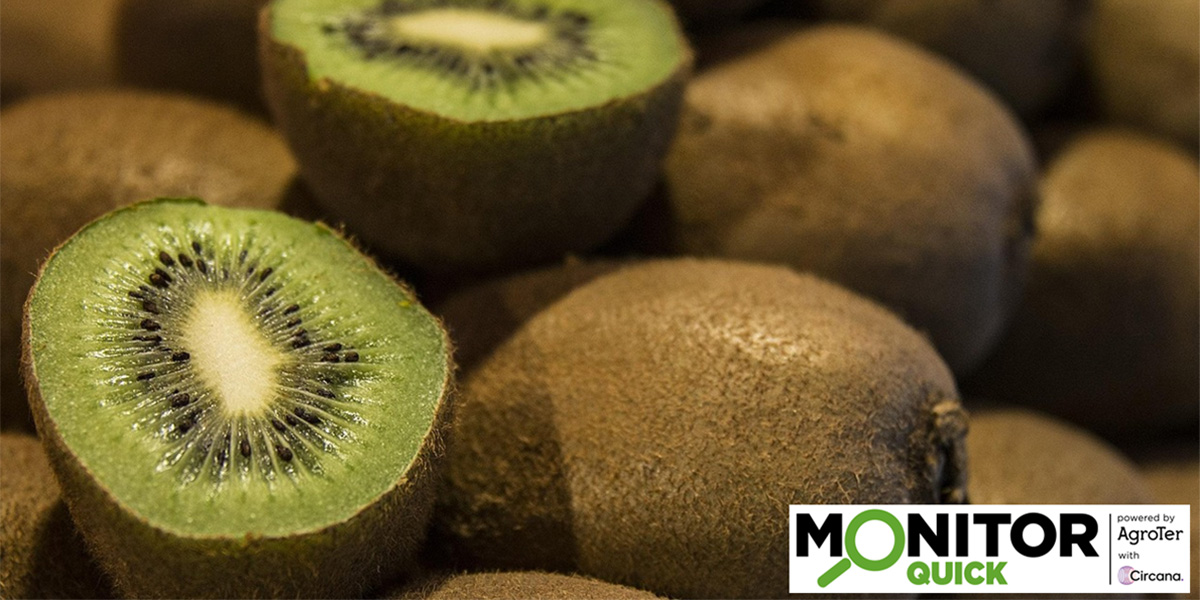 Volata del kiwi in autunno, ma il Nord Est frena la crescita